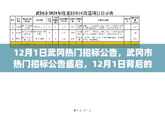 揭秘武岡市熱門(mén)招標(biāo)公告背后的故事與影響，12月1日盛啟