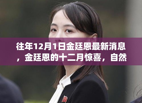 金廷恩十二月驚喜之旅，心靈啟示與自然美景的交融時刻