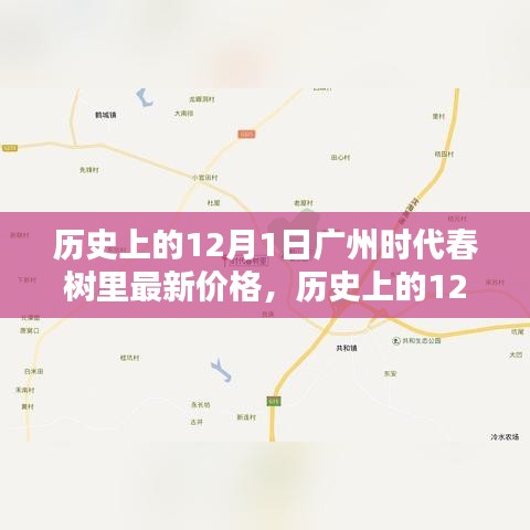 揭秘廣州時代春樹里房價動態(tài)，歷史上的12月1日最新價格解析