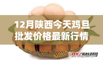 陜西今日雞蛋批發(fā)價格詳解，最新行情、查詢方法與應對策略
