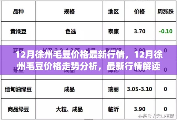 徐州毛豆行情解析，最新價(jià)格走勢(shì)與解讀