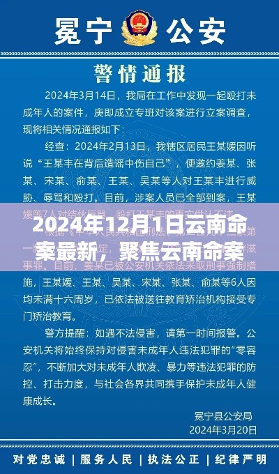 聚焦云南命案，最新進(jìn)展與深度解讀（2024年12月版）