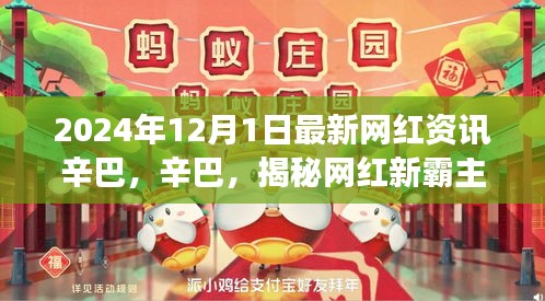 揭秘網(wǎng)紅霸主辛巴，小紅書最新資訊揭秘其背后的故事（2024年12月）