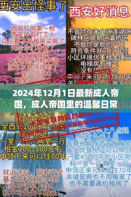 成人帝國里的溫馨日常，陽光故事2024年12月1日