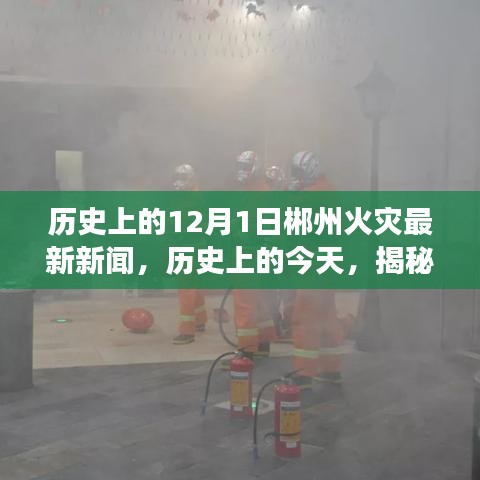 改弦更張 第5頁(yè)