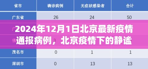 北京疫情通報病例下的靜謐之旅，自然美景的心靈之旅