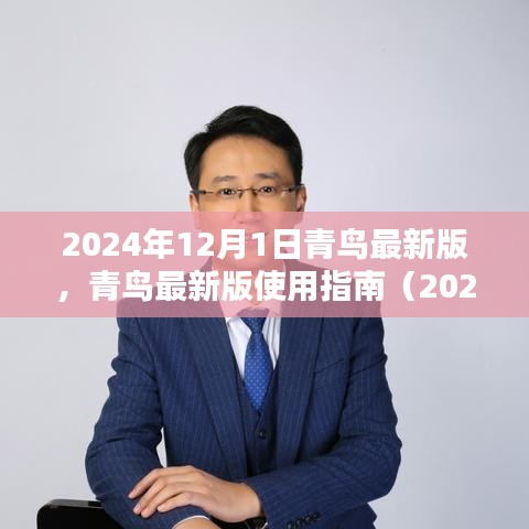 青鳥(niǎo)最新版使用指南（2024年12月版），初學(xué)者與進(jìn)階用戶指南共鑒