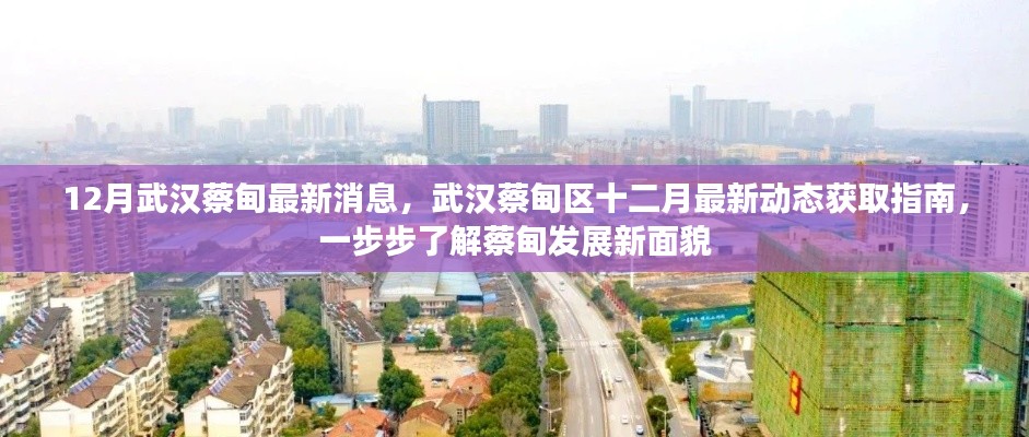 武漢蔡甸區(qū)十二月最新動(dòng)態(tài)全解析，發(fā)展面貌大揭秘