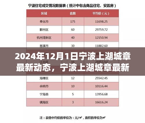 2024年寧波上湖城章最新動(dòng)態(tài)揭秘，關(guān)鍵步驟助你輕松掌握最新消息