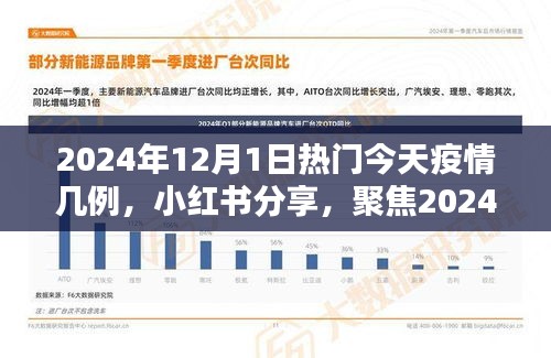 小紅書分享，聚焦2024年12月1日疫情最新動態(tài)及今日疫情數(shù)據(jù)報告