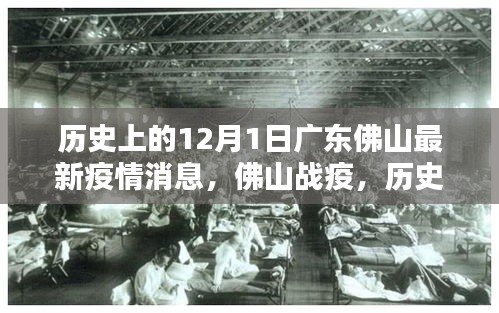 廣東佛山疫情回顧與最新動態(tài)，歷史上的十二月一日疫情影響與戰(zhàn)疫進(jìn)展