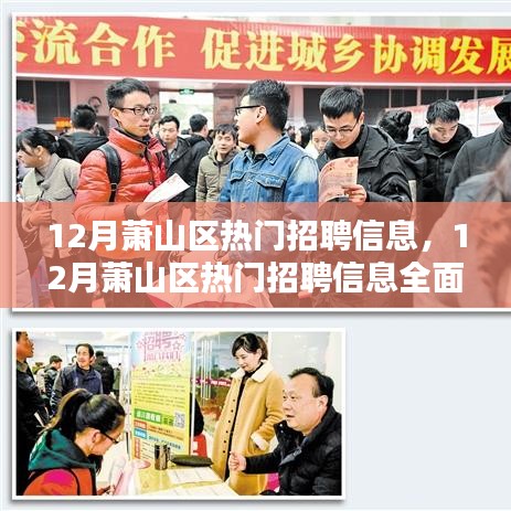 12月蕭山區(qū)熱門(mén)招聘信息全面解析與求職全攻略