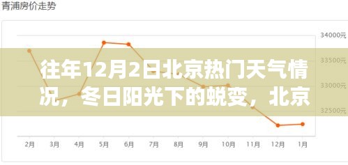 北京往年12月2日冬日陽光下的學(xué)習(xí)之旅與自信起航，天氣回顧與蛻變時刻