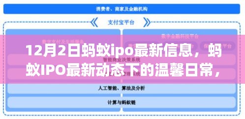 螞蟻IPO最新動態(tài)，小螞蟻的冒險與友情之旅的溫馨日常