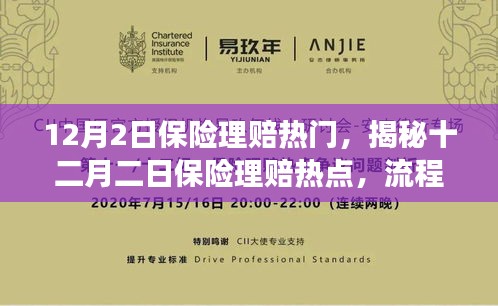 揭秘十二月二日保險理賠熱點，流程、要點及注意事項全解析