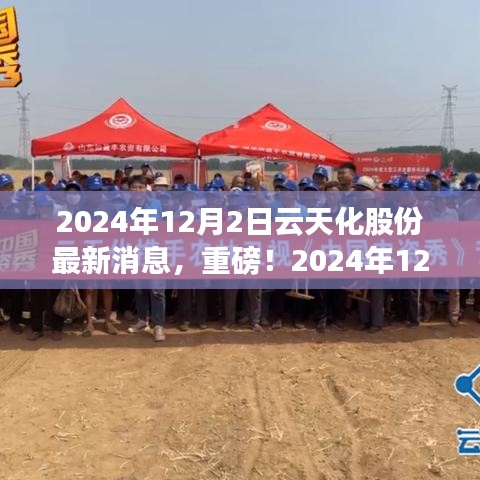 獨家揭秘，云天化股份最新動態(tài)與未來展望（2024年12月2日更新）