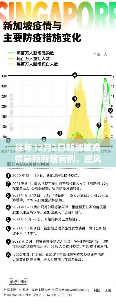 新加坡疫情下的勵(lì)志篇章，逆風(fēng)砥柱，學(xué)習(xí)變化的力量與自信之路——?dú)v年12月2日最新數(shù)據(jù)回顧