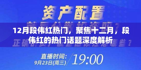深度解析，段偉紅十二月熱門話題聚焦