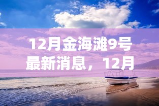12月金海灘9號(hào)最新動(dòng)態(tài)與指南，任務(wù)完成與技能學(xué)習(xí)全解析