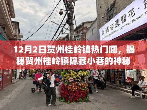 賀州桂嶺鎮(zhèn)隱藏小巷的神秘特色小店探尋，美食探險(xiǎn)之旅揭秘聞