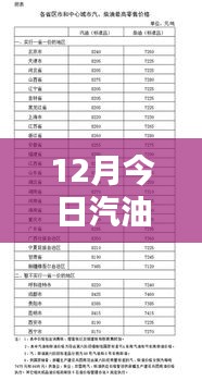 最新汽油價格分析，揭示多重因素背后的走勢與個人觀點