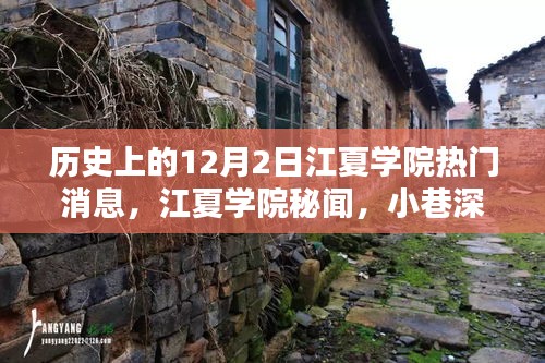 江夏學(xué)院十二月二日秘聞探尋，寶藏小店與獨特風(fēng)采揭秘
