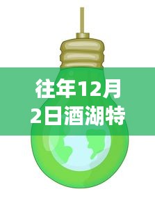 酒湖特高壓最新動態(tài)，進展、觀點與聚焦