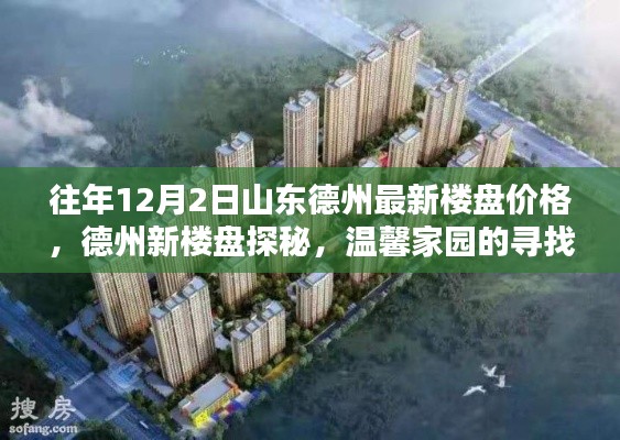 德州新樓盤(pán)價(jià)格揭秘，溫馨家園探尋與友情綻放日