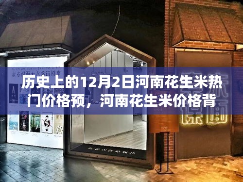 河南花生米價格背后的故事，友情與陪伴的冬日奇遇在12月2日揭曉的熱門預(yù)測