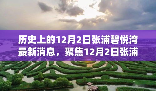 聚焦張浦碧悅灣最新動態(tài)，深度解讀12月2日新消息及其影響