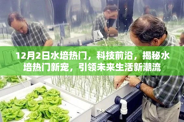 揭秘水培熱門新寵，引領(lǐng)未來生活潮流，科技前沿揭秘水培趨勢(shì)分析