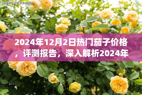 2024年熱門(mén)茄子價(jià)格深度解析與評(píng)測(cè)報(bào)告