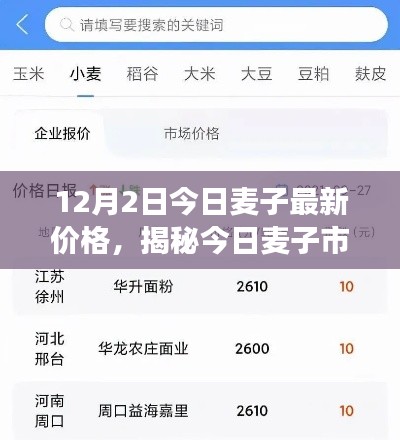 揭秘今日麥子市場(chǎng)，最新價(jià)格動(dòng)態(tài)及市場(chǎng)分析（以麥子最新價(jià)格行情為例）
