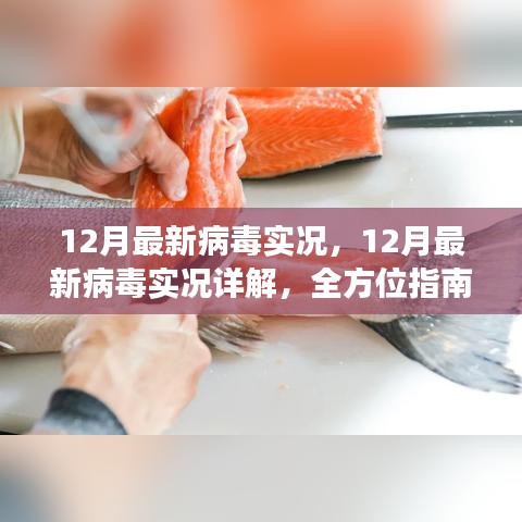 全方位指南，12月病毒威脅詳解與防范應對策略