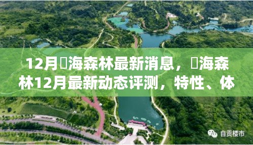 燊海森林12月最新動態(tài)評測，特性、體驗(yàn)、對比及用戶群體深度分析