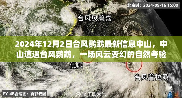 中山遭遇臺風(fēng)鸚鵡，風(fēng)云變幻的自然考驗(yàn)最新信息