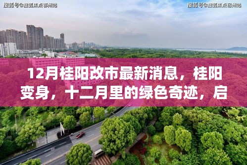 12月桂陽改市最新動(dòng)態(tài)，綠色奇跡啟程，心靈之旅開啟