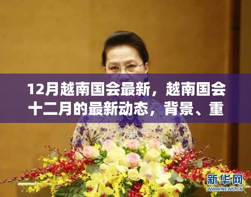 越南國會十二月最新動態(tài)，背景、重要事件與時代地位解析