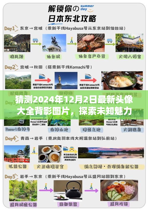 『最新精選，2024年12月2日背影頭像大全，探索未知魅力與未來時尚潮流』