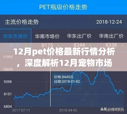 深度解析，12月寵物市場脈動與寵物價格最新行情背景重塑