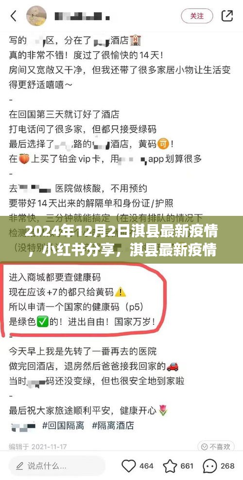 小紅書分享，淇縣最新疫情動態(tài)深度解析（2024年12月2日）