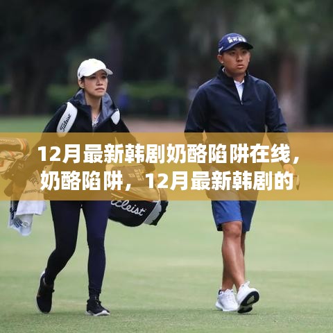 12月最新韓劇奶酪陷阱在線，奶酪陷阱，12月最新韓劇的甜蜜與掙扎