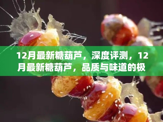 12月最新糖葫蘆，品質(zhì)與味道的極致融合深度評(píng)測(cè)