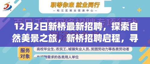 新橋招聘啟程，探索自然美景之旅，尋找內(nèi)心的寧靜與平和