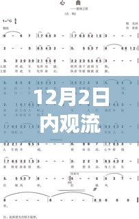 溫馨日常故事與內(nèi)觀流心曲，最新歌曲發(fā)布