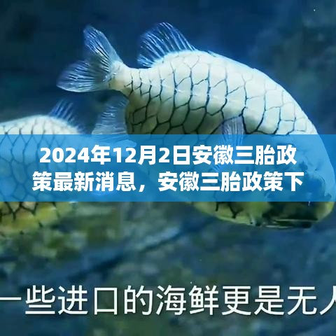 安徽三胎政策下的科技育兒革新，全新智能母嬰管理系統(tǒng)誕生與體驗(yàn)紀(jì)實(shí)（最新消息）
