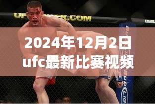 揭秘小巷深處的格斗盛宴，UFC最新比賽視頻與美食天堂的雙重體驗(yàn)（2024年12月2日）