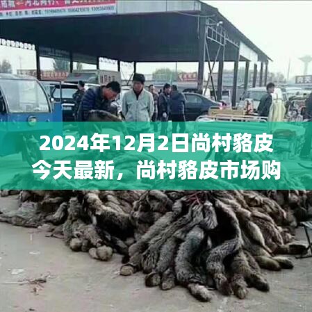 尚村貉皮市場最新指南，選購優(yōu)質(zhì)貉皮的初學(xué)者友好版建議