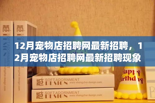 衣不曳地 第4頁