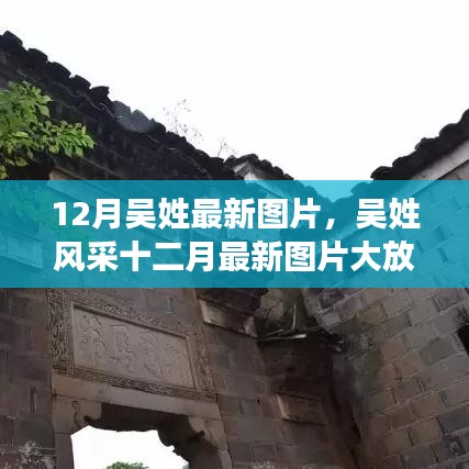十二月吳姓風(fēng)采展示，最新圖片大放送，絕美瞬間一網(wǎng)打盡